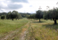 For sale:  land - Kassandra (4117-887) | Dom2000.com #24527707