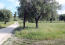 For sale:  land - Kassandra (4117-887) | Dom2000.com #24527709