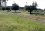 For sale:  land - Kassandra (4117-887) | Dom2000.com #24527712