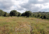 Продам земельну ділянку - Кассандра (4117-888) | Dom2000.com