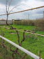 Продам дом - Днепровское село, г. Херсон (9807-889) | Dom2000.com #68416273