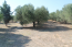 For sale:  land - Kassandra (4114-891) | Dom2000.com #24494850