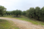 For sale:  land - Kassandra (4114-891) | Dom2000.com #24494858