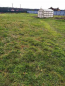 For sale:  home - Озерная д.16, Litochki village (9504-893) | Dom2000.com #65576893