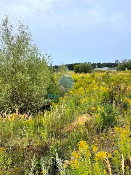 For sale:  land - д. Buzlanovo (10536-894) | Dom2000.com