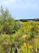 For sale:  land - д. Buzlanovo (10536-894) | Dom2000.com