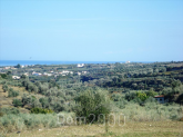 Продам земельну ділянку - Iraklion (crete) (4187-894) | Dom2000.com