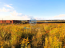 For sale:  land - д. Yam (10510-895) | Dom2000.com #76119070