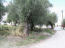 For sale:  land - Kassandra (4119-895) | Dom2000.com #24547056