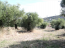 For sale:  land - Kassandra (4119-895) | Dom2000.com #24547058