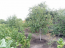 For sale:  home - Liptsi village (9916-895) | Dom2000.com #69562188