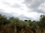 For sale:  land - Евія (4116-898) | Dom2000.com #24517091