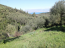 For sale:  land - Kerkyra (Corfu island) (4118-899) | Dom2000.com #24538500