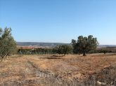 For sale:  land - Chalkidiki (4119-899) | Dom2000.com