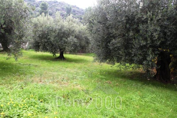 For sale:  land - Kassandra (4114-900) | Dom2000.com