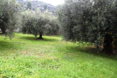 For sale:  land - Kassandra (4114-900) | Dom2000.com