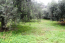 For sale:  land - Kassandra (4114-900) | Dom2000.com #24494961