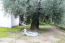 For sale:  land - Kassandra (4114-900) | Dom2000.com #24494969