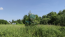 For sale:  land - Russia (10520-903) | Dom2000.com #76204376