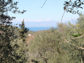 Продам земельный участок - Керкира (Корфу) (4118-903) | Dom2000.com