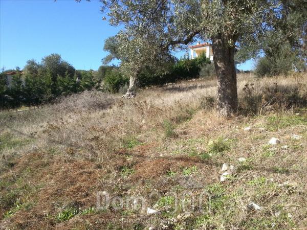 For sale:  land - Sithonia (4119-905) | Dom2000.com