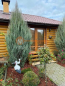 For sale:  home - улица Говорова, Herson city (10078-909) | Dom2000.com #71279581