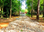 For sale:  land - х. Spasskie Vyselki (10612-909) | Dom2000.com #77185173