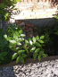 For sale:  land - Родниковая улица, 51б str., Kramatorsk city (9661-909) | Dom2000.com #67045848