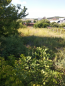 For sale:  land - Родниковая улица, 51б str., Kramatorsk city (9661-909) | Dom2000.com #67045849