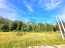 For sale:  land - д. Ivanovka (10499-910) | Dom2000.com #75976550