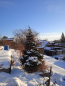For sale:  land - СПК Железнодорожник, 37, Irkutsk city (10601-913) | Dom2000.com #77070689
