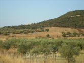 For sale:  land - Athos (4118-913) | Dom2000.com