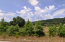 For sale:  land - Chalkidiki (4111-914) | Dom2000.com #24463756