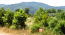 For sale:  land - Chalkidiki (4111-914) | Dom2000.com #24463757