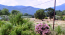 For sale:  land - Chalkidiki (4111-914) | Dom2000.com #24463758