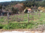 For sale:  land - Chalkidiki (4111-914) | Dom2000.com #24463759