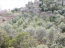 For sale:  land - Athos (4118-914) | Dom2000.com #24538597