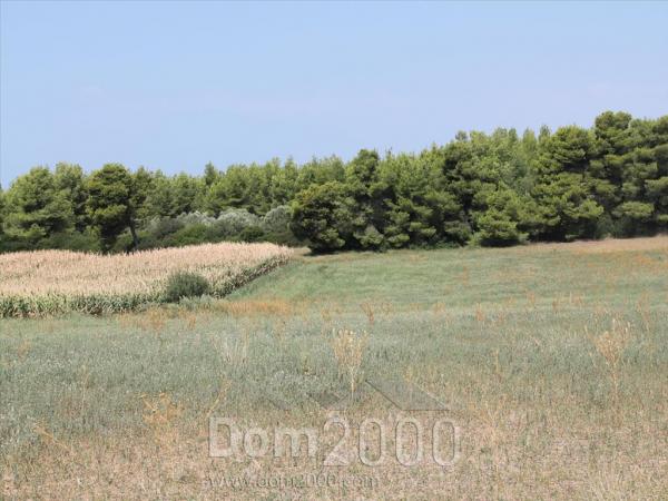 For sale:  land - Kassandra (4119-914) | Dom2000.com