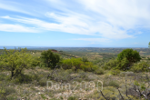 For sale:  land - Chalkidiki (5363-914) | Dom2000.com