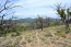 For sale:  land - Chalkidiki (5363-914) | Dom2000.com #34784237