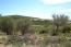 For sale:  land - Chalkidiki (5363-914) | Dom2000.com #34784238