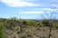 For sale:  land - Chalkidiki (5363-914) | Dom2000.com #34784239