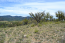 For sale:  land - Chalkidiki (5363-914) | Dom2000.com #34784241