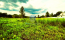 For sale:  land - д. Bavykino (10612-915) | Dom2000.com #77185215