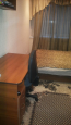 Продам двухкомнатную квартиру - ул. Парковый переулок, 100в, г. Славянск (9656-917) | Dom2000.com #67001185