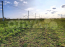 For sale:  land - п. Smena (10643-918) | Dom2000.com #77913808