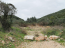 Продам земельный участок - Керкира (Корфу) (4118-919) | Dom2000.com #24538632