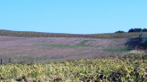 For sale:  land - Kassandra (4110-922) | Dom2000.com