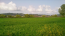 For sale:  land - Kassandra (4118-923) | Dom2000.com #24538664