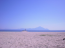 For sale:  land - Sithonia (4118-926) | Dom2000.com #24538681